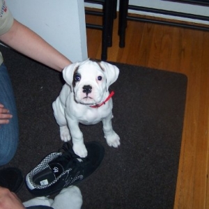 Stella first night home