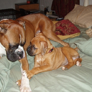 Snuggling