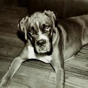 BECKHAMBW2