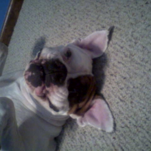 brandyfunnyface