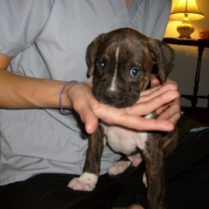 Ain't I Cute?