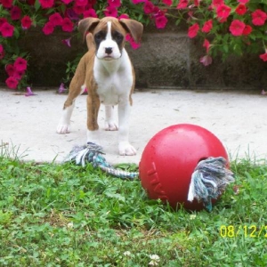 luke 10wks