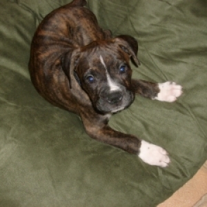 New Bed!