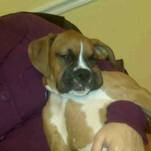 snoozin'!