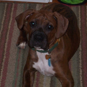 Hilda at 4 months