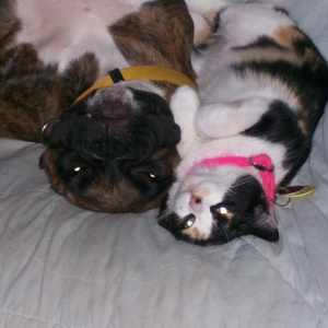 bestfriends1