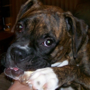socute1