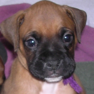 My Baby Maximus