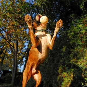 Catch it!