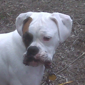 Caught me burying my bone!!!