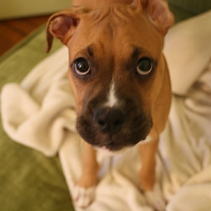 Love Me Please