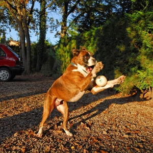 Catch!
