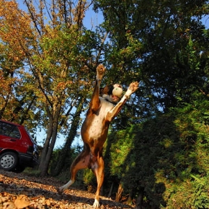 DSC_6245_DXO