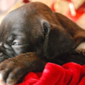 Lil' Baby Josie!