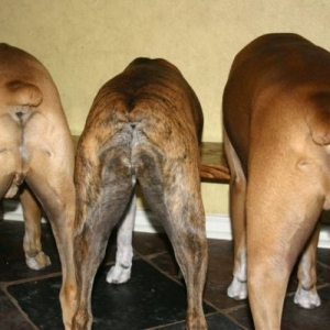 Nothing butt boxers!