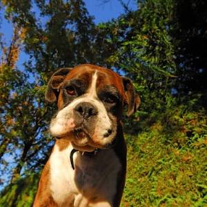 funny face