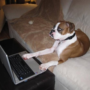 Presley logging onto BoxerWorld.com!