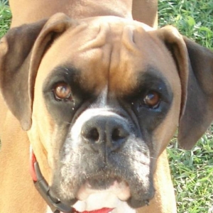 Maggy