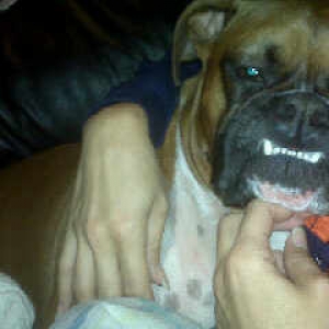 Underbite - Ha Ha