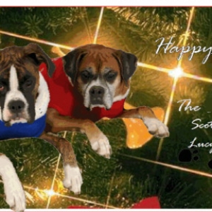 Christmas card