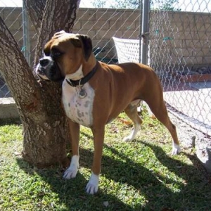 Samantha_3_Years_5_Months_Old