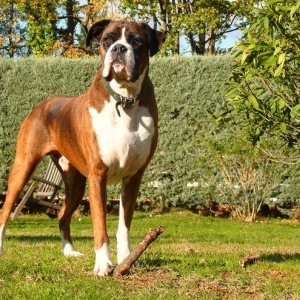 Henri - 6 years