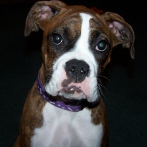 This is my baby at 4 1/2 months