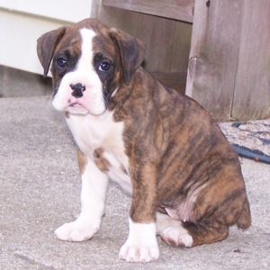 The day we brought her home