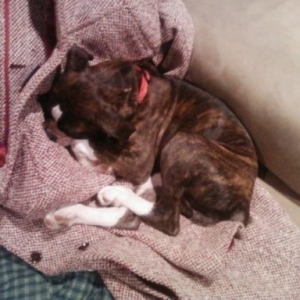 Sleepy10