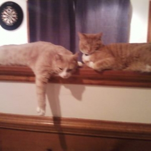 Kiwi and Ben