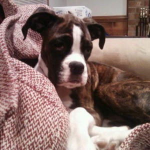 Lucy7