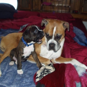 Zaynah and Koda 12/3/08