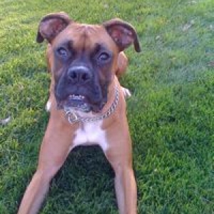 Bo at Park