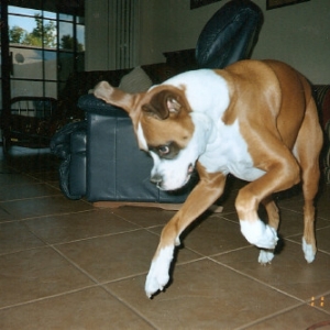 being a goofball