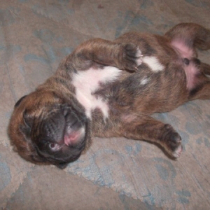 Benji_with_5_days_