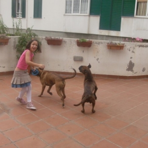 Playing_time_2