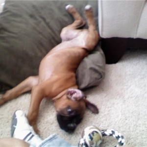 Mason2