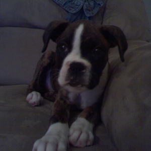 Meet Mya