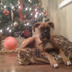 Shelby and Lexie