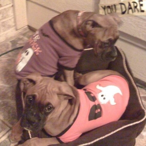 Shelby and Reilly
