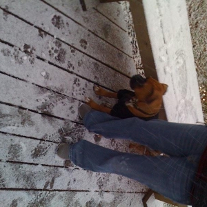 Shebly snow
