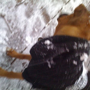 Snow angel