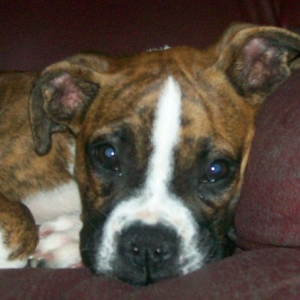 Layla so tired