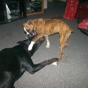 OH YEAH? Your not so big!