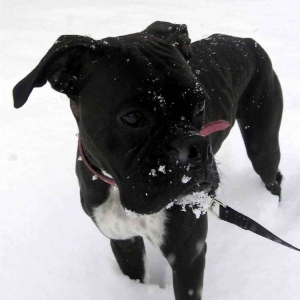 Zoey