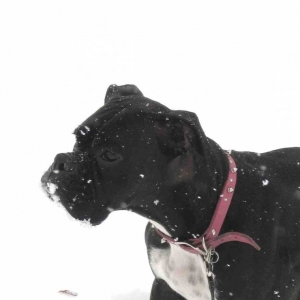 Zoey 2
