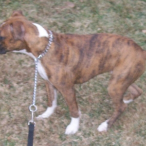 Layla profile 5 m/o
