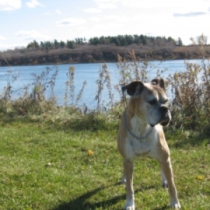 A Sunny Autumn Day