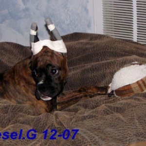 My baby Diesel