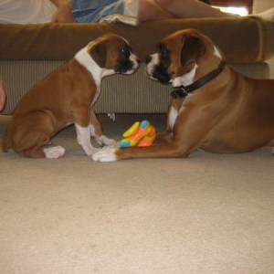 Zeke and Karma